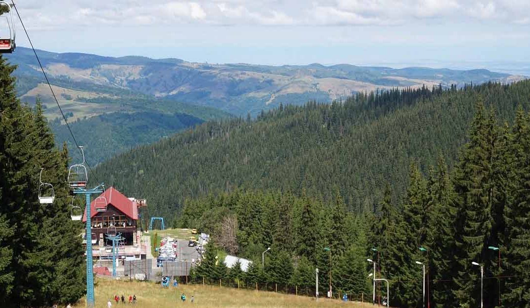 Paltinis-Ziprentacar